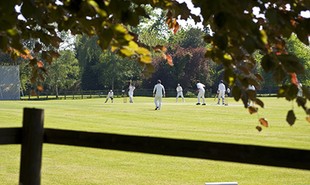 Cricket Green