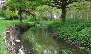 River Hart